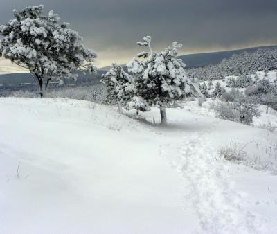 Прикрепленное изображение: 4132458_large.jpeg